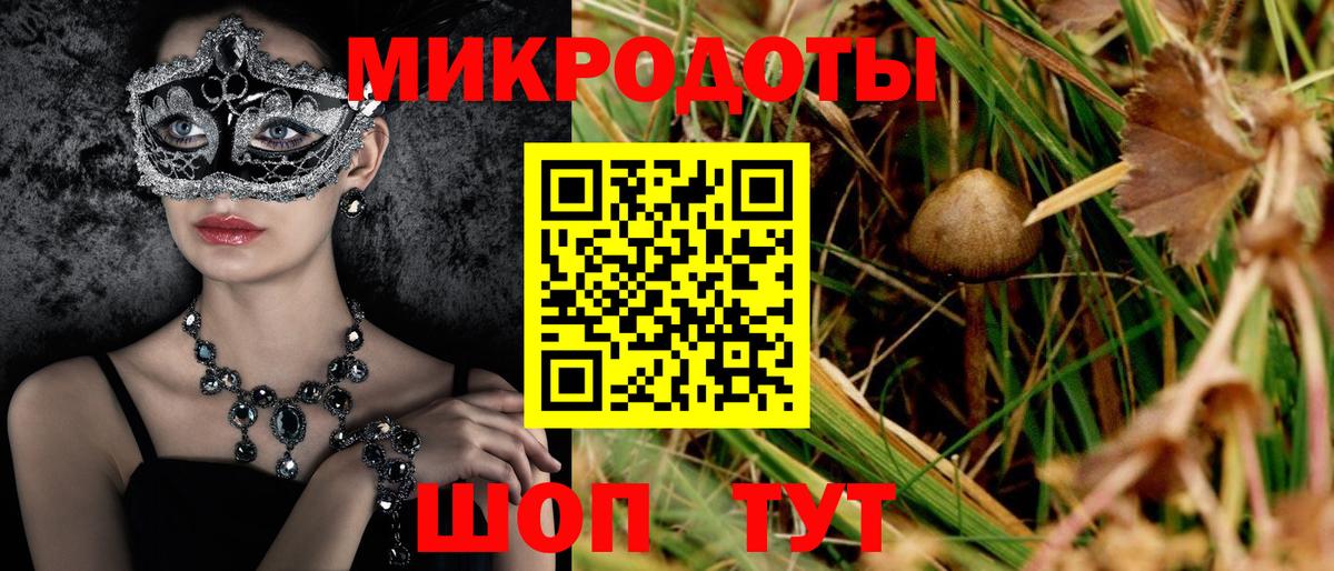 Галлюциногенные грибы Cubensis Волжский