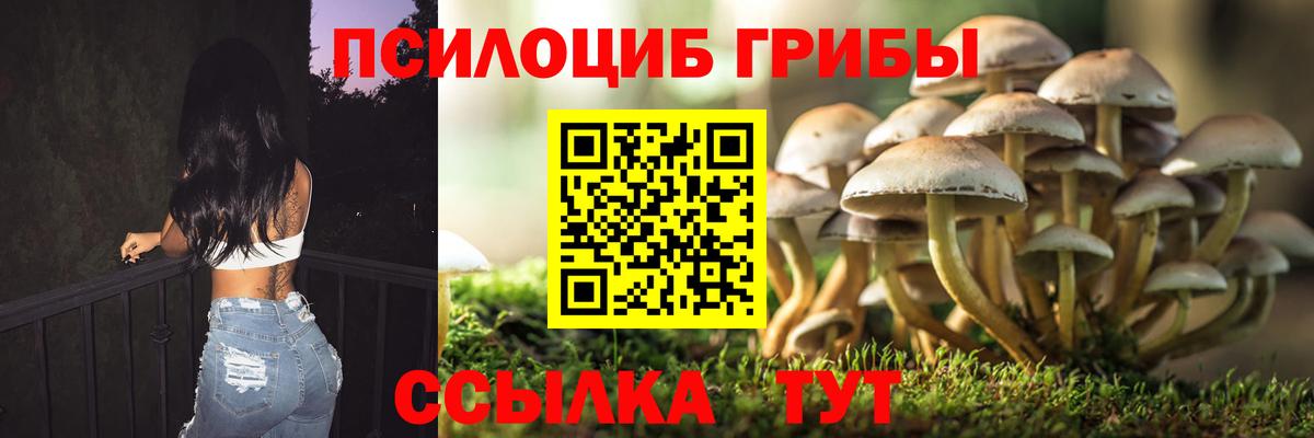 Волжский  Галлюциногенные грибы Cubensis  Псилоцибиновые грибы Magic Shrooms  Вход с VPN 